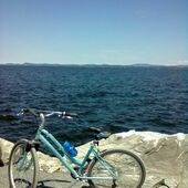 User avatar for Fay Pizer