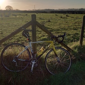 User avatar for Craig Fisher