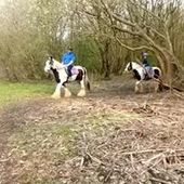 User avatar for Carole Wright