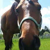 User avatar for Carmen Piekarski