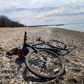 User avatar for Robert Witmer