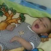 User avatar for Dr Wael R Elbagory