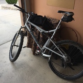 User avatar for Javier Macias