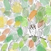 User avatar for Paul Johnstone