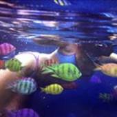 User avatar for Claudine Gerrard