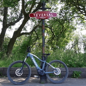 User avatar for Penny Marsden