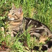 User avatar for Francesca Nunn