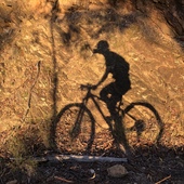 User avatar for Jo Rowell