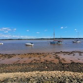 User avatar for R Mishra