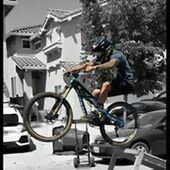 User avatar for Ellery Flores