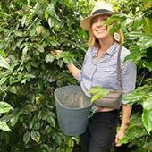 User avatar for Angie Longan