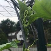 User avatar for Ann Rodenberg