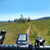 User avatar for Tim Hunt