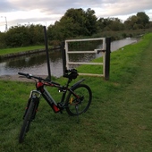 User avatar for David Moss