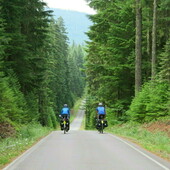 User avatar for Betsy Schultz