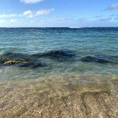 User avatar for Nichole Monzon