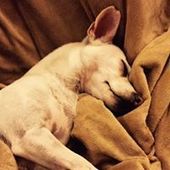 User avatar for Jd Sparks