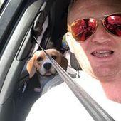 User avatar for Neil Dickerson