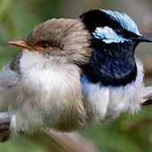 User avatar for Ann McHenry