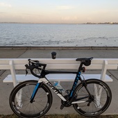 User avatar for Mark Howman