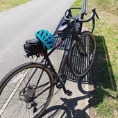 User avatar for Lisa Diane