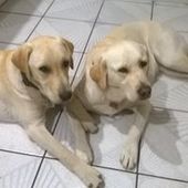 User avatar for Bug Out