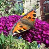 User avatar for Suzanne West