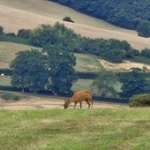 User avatar for Peter Millington