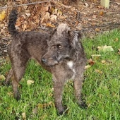 User avatar for James White