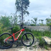 User avatar for Melissa Gooch