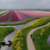 User avatar for Marion Schalks