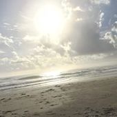 User avatar for Charlie Molly