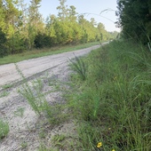 User avatar for Karen Mc Carthy