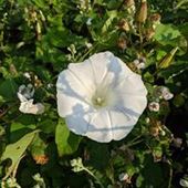 User avatar for Lesley Gregory