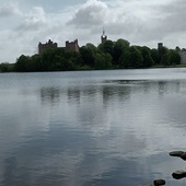 User avatar for Andy Wood    (woody)