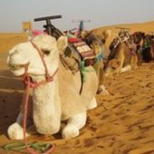 User avatar for Bernard Kingsley