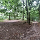 User avatar for Philip Kingston