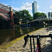 User avatar for Thomas Willmott