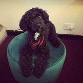 User avatar for Philippa Matthews