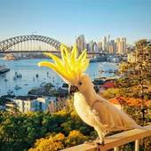 User avatar for Gus Maxwell