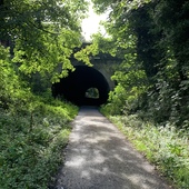 User avatar for Andrew Murphy