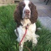 User avatar for Jenny Tunney