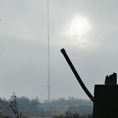 User avatar for Chas Trotter