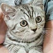 User avatar for Chi Wai Choy