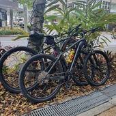 User avatar for Carlos Costa