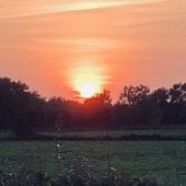 User avatar for Andrew Stevenson