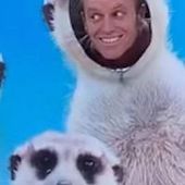 User avatar for Adrian Curry