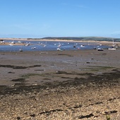 User avatar for Jo Harness