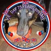 User avatar for Judith Anderson