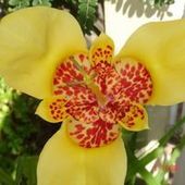 User avatar for Derek Towers